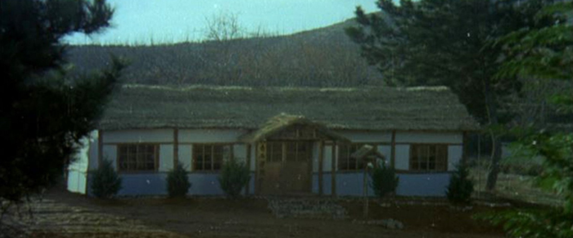 The Evergreen Tree's banner image