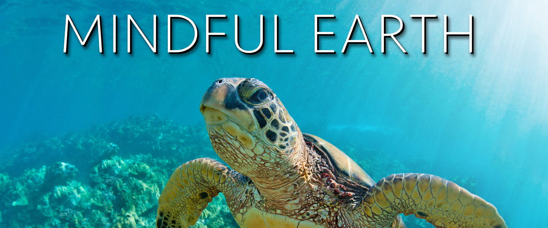 Mindful Earth