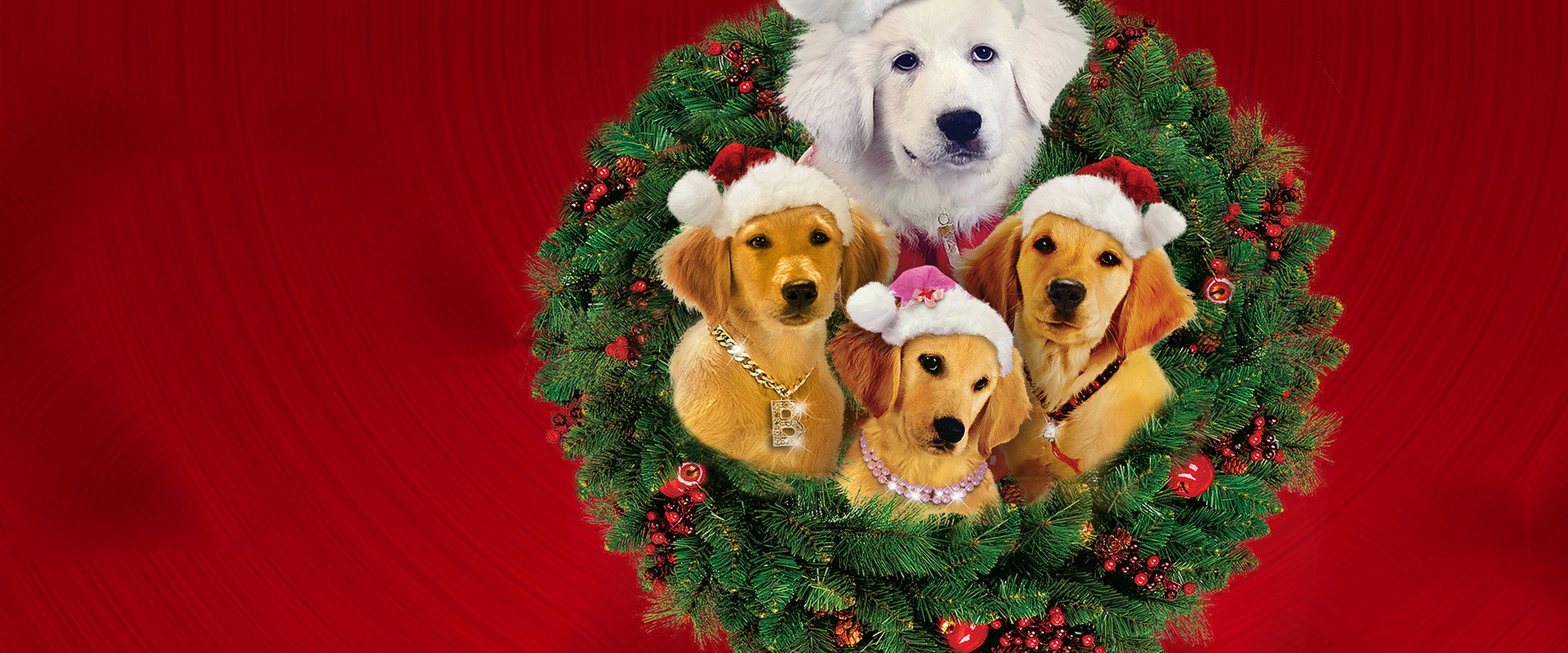 Les Copains fêtent Noël