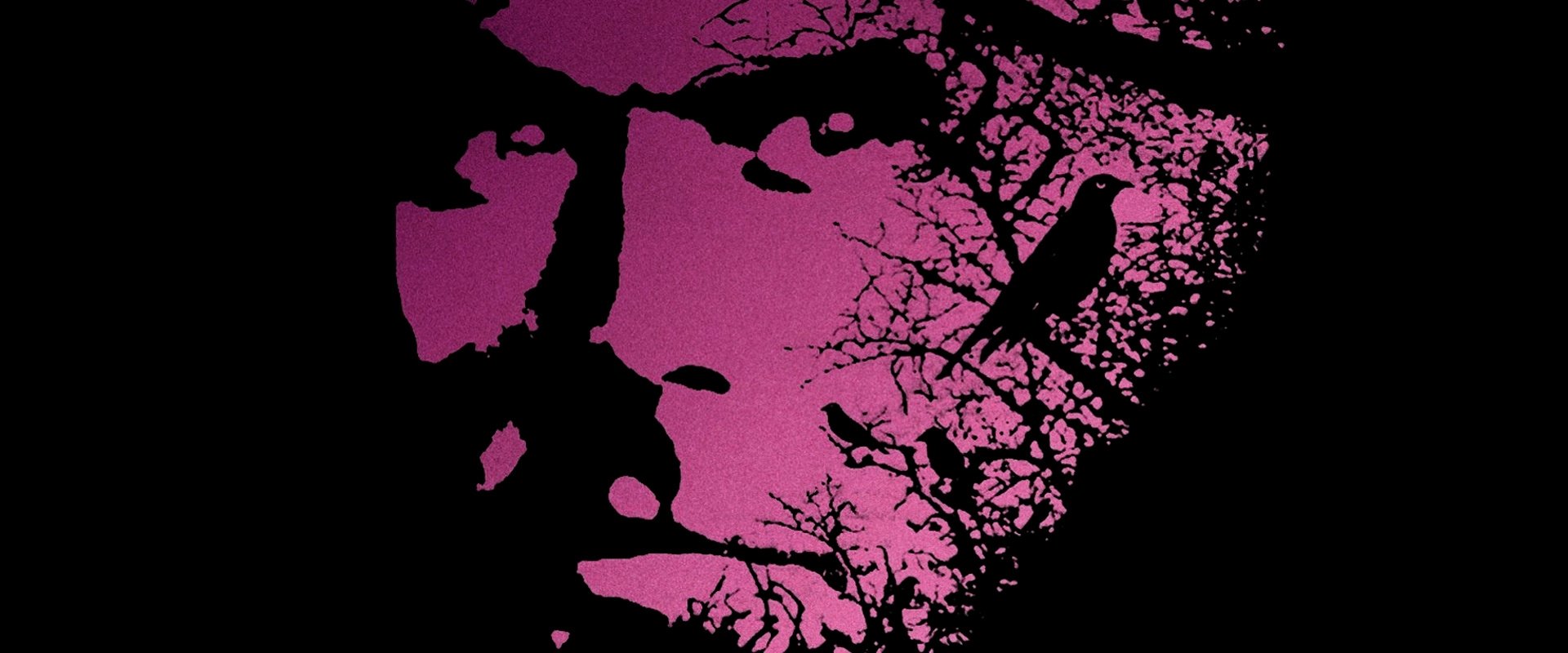The Dark Half