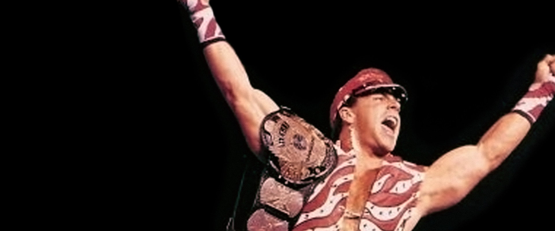 WWE SummerSlam 1996's banner image