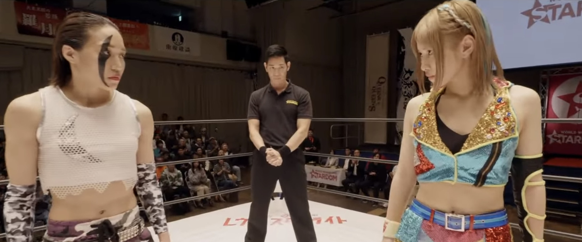 Runaway Wrestler's banner image