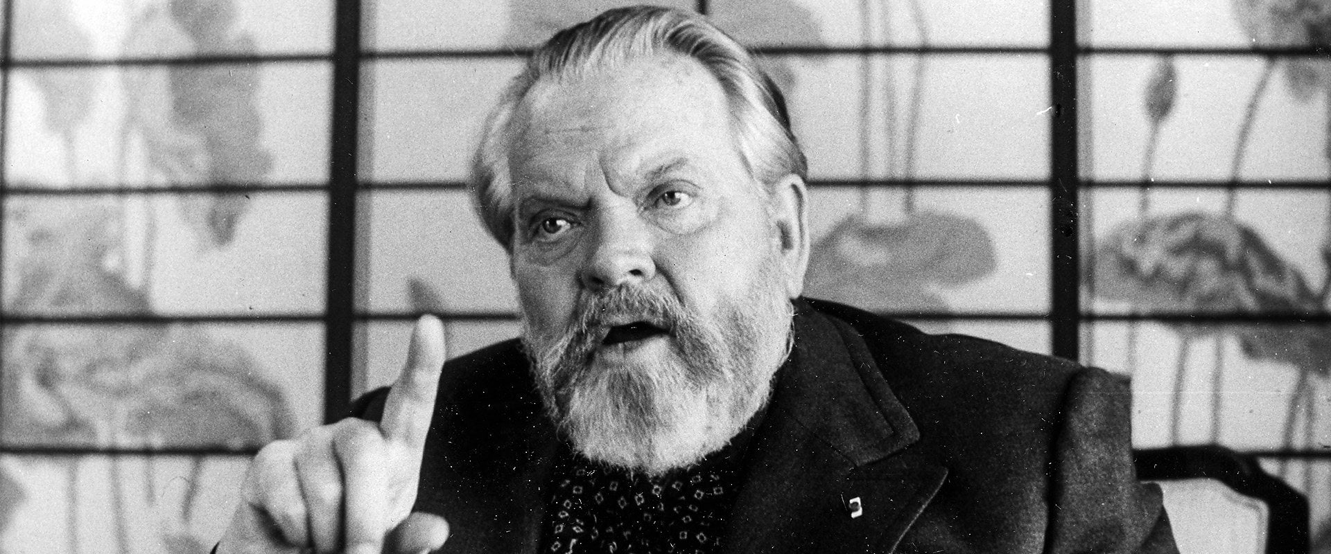 The Eyes of Orson Welles