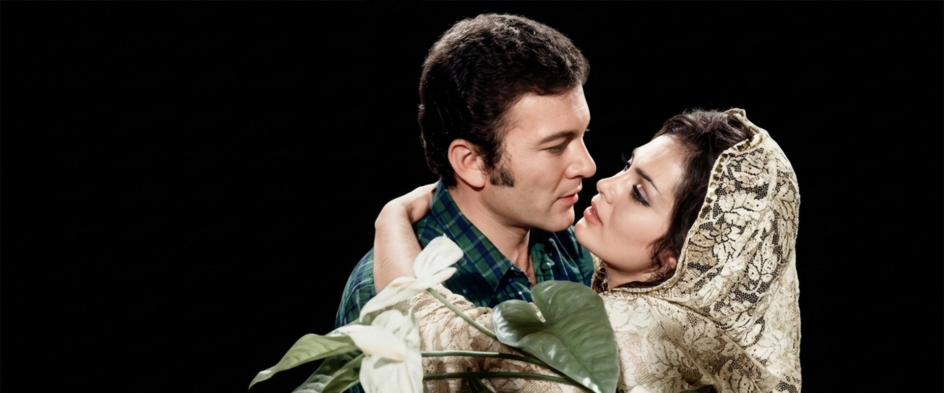 Gelin Çiçeği's banner image