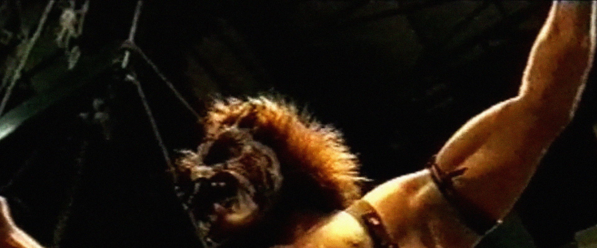 Sodomites's banner image