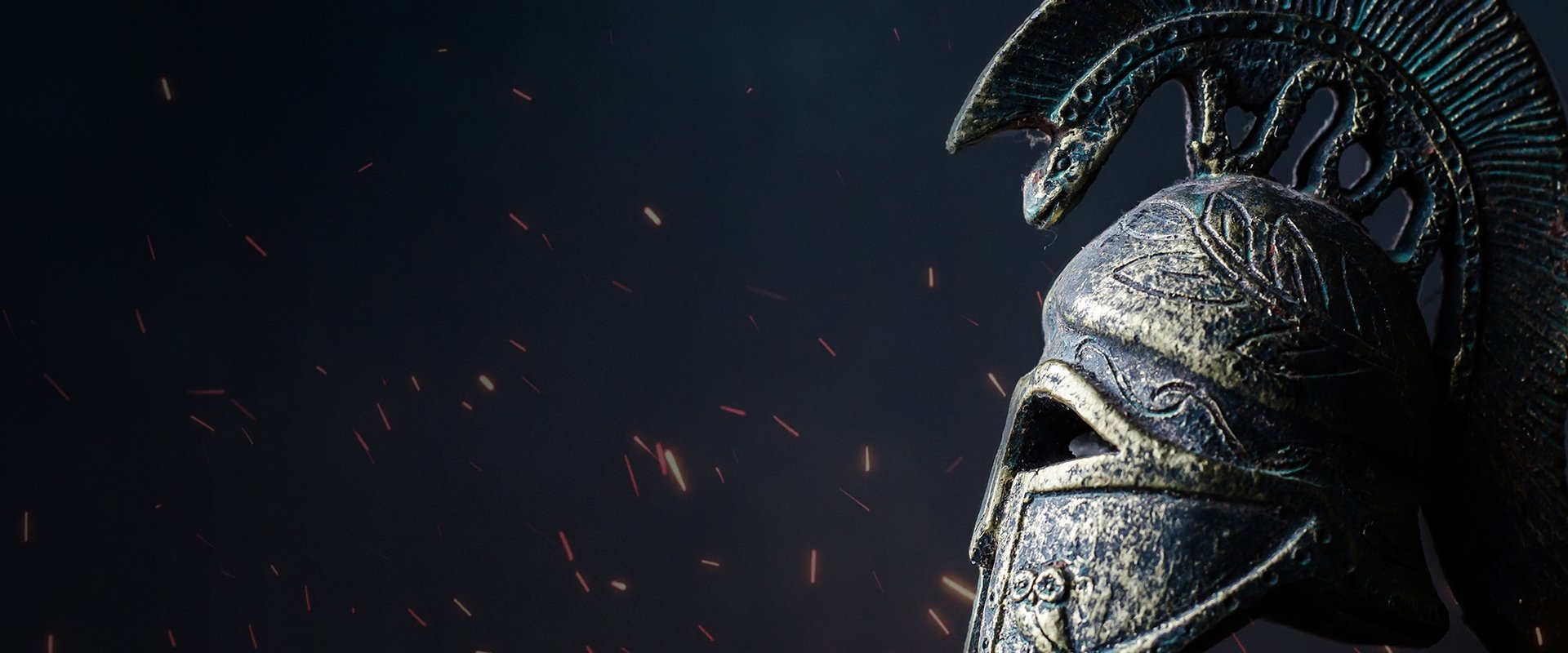 The Warrior's Way