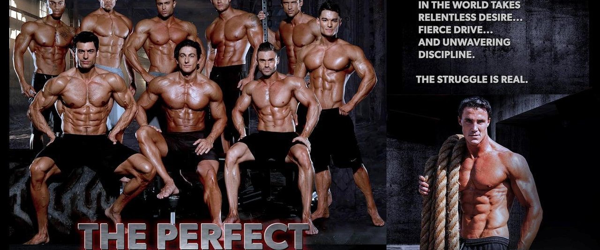 The Perfect Physique