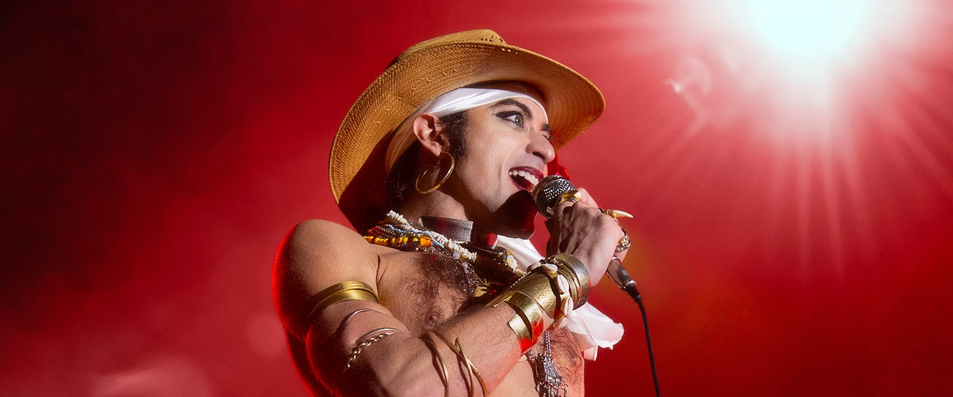 Latin Blood – The Ballad of Ney Matogrosso's banner image