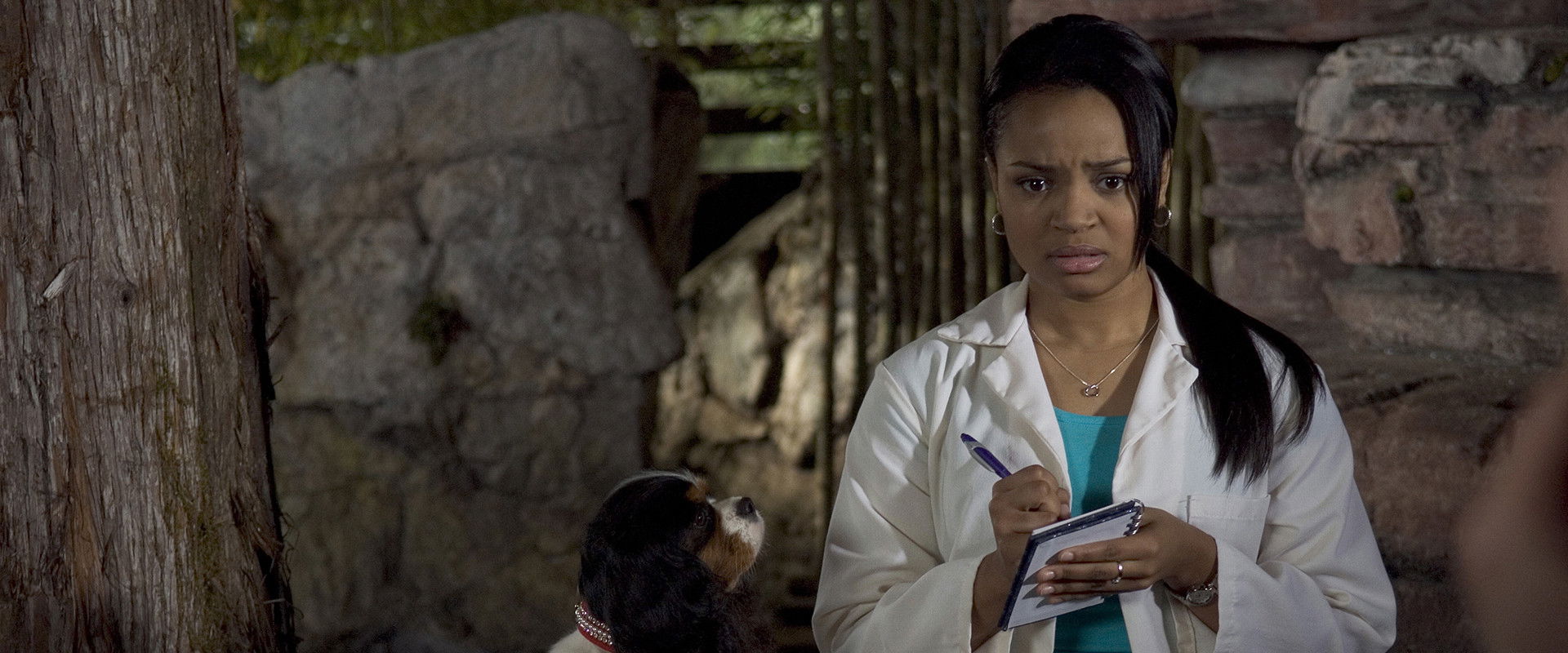 доктор дулиттл похожие