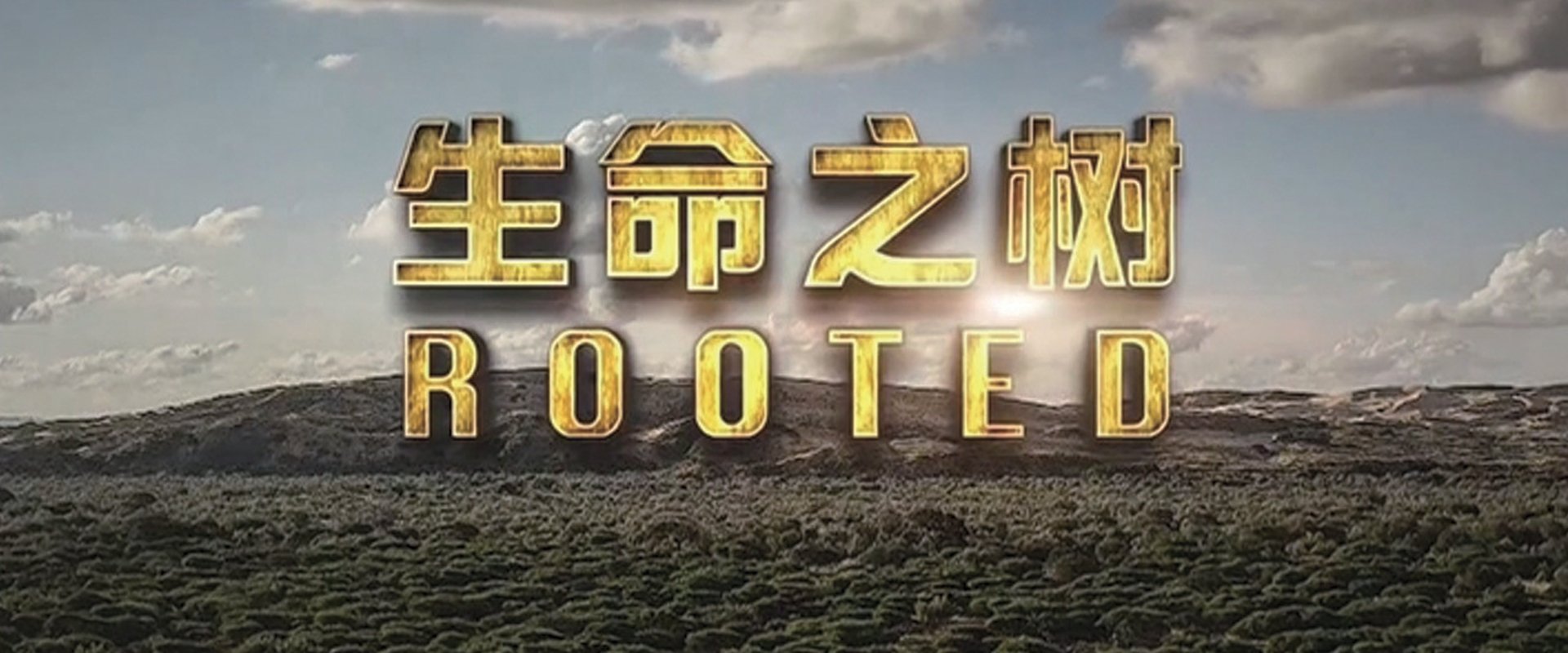 Rooted