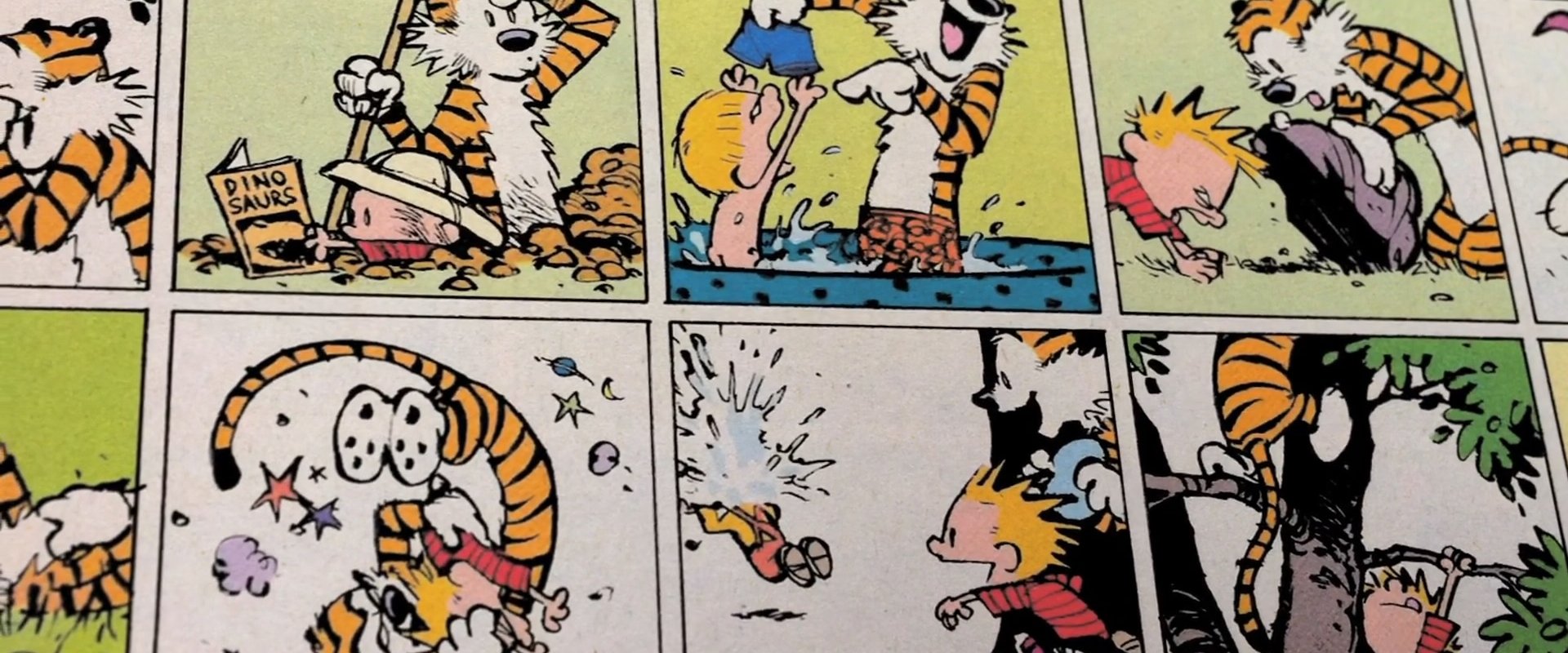 Dear Mr. Watterson