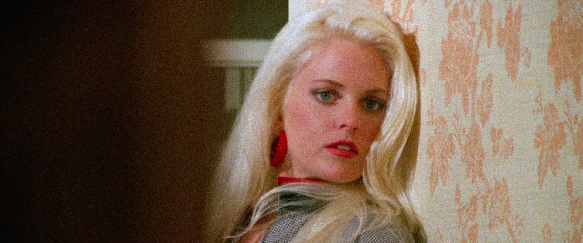 Eleven Days, Eleven Nights 2's banner image