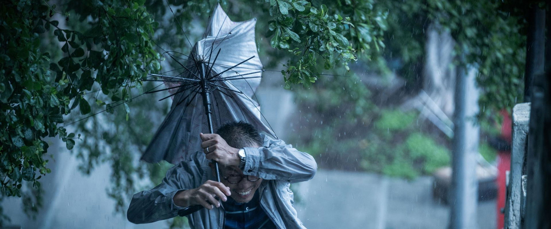 Good Day's banner image