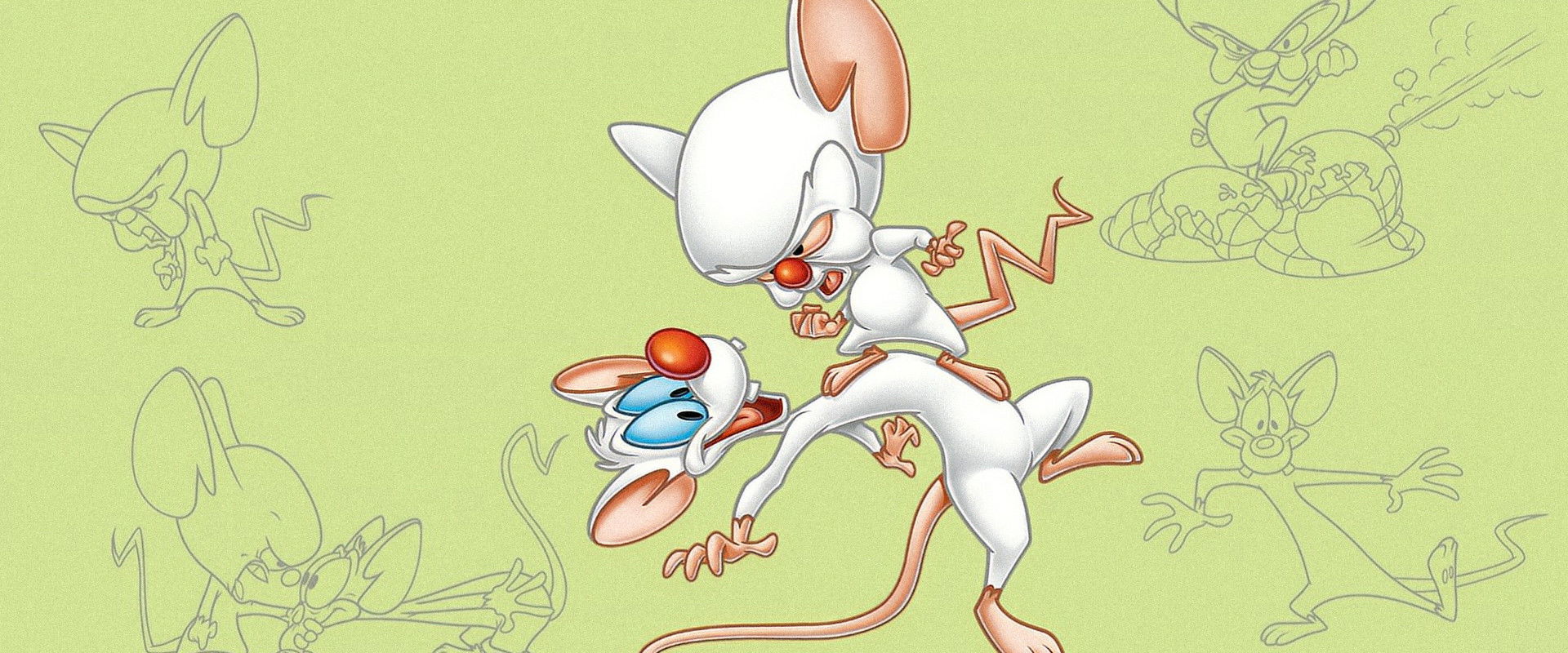 Pinky and the Brain