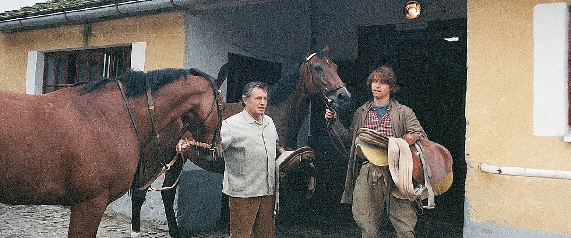 Obyčejná koňská historie's banner image