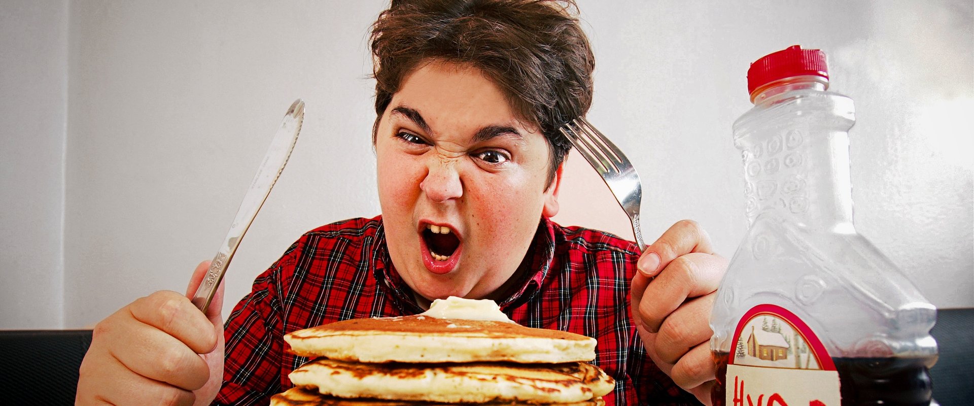 The Andy Milonakis Show