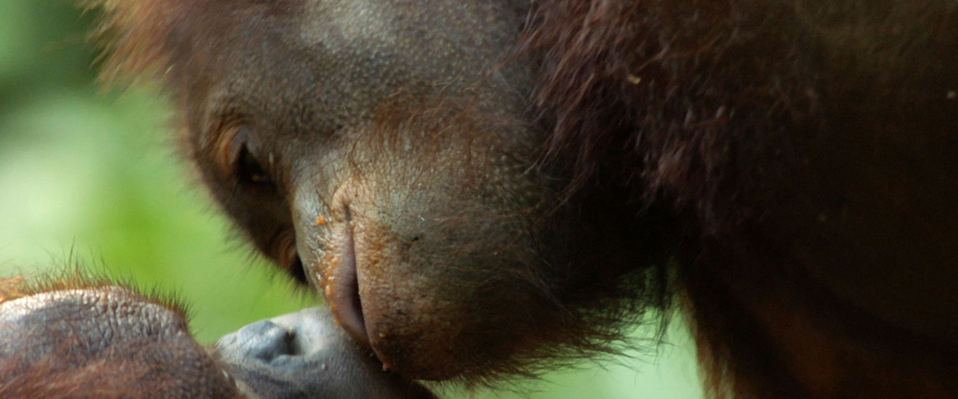 Equator from the Air