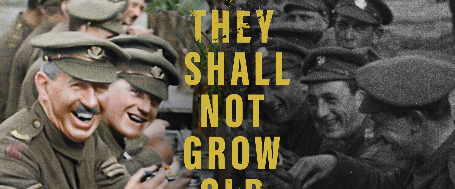 They Shall Not Grow Old