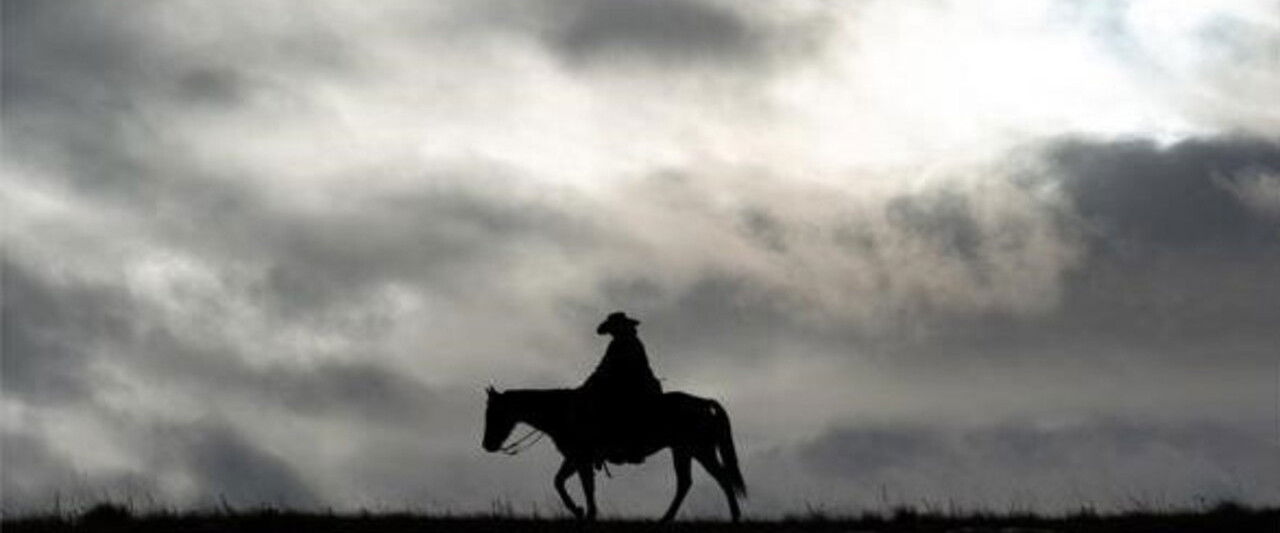 Bring on the Dancing Horses