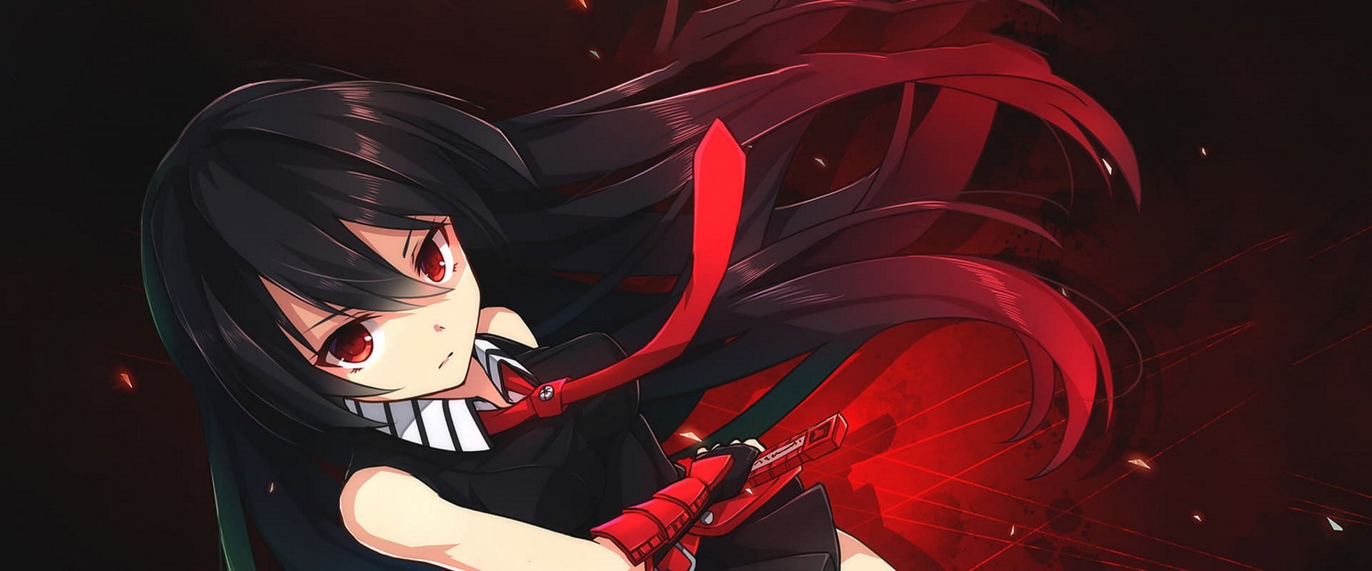 Akame ga Kill - Schwerter der Assassinen