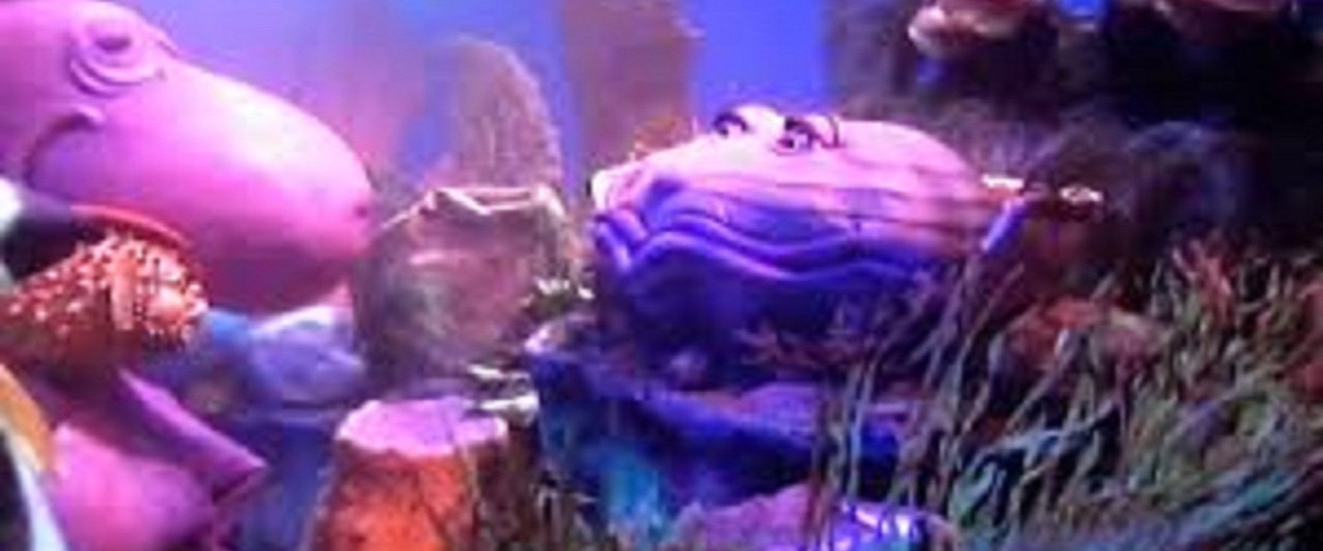 Wee Sing Under the Sea