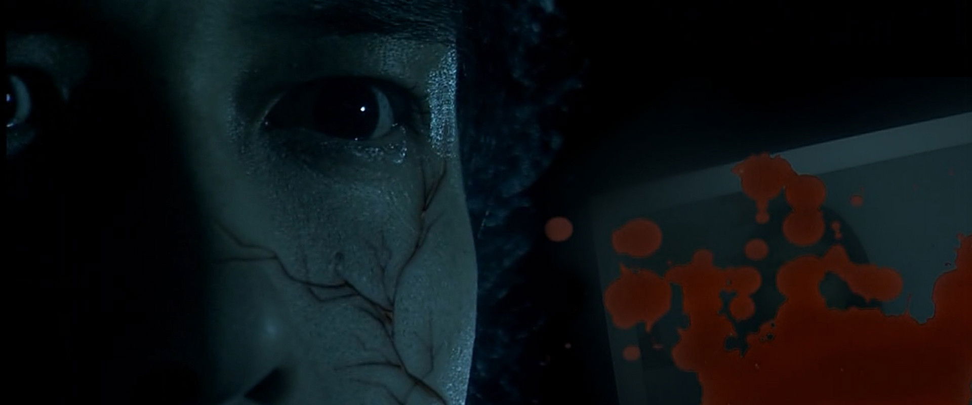 Xenos Kusenosu's banner image