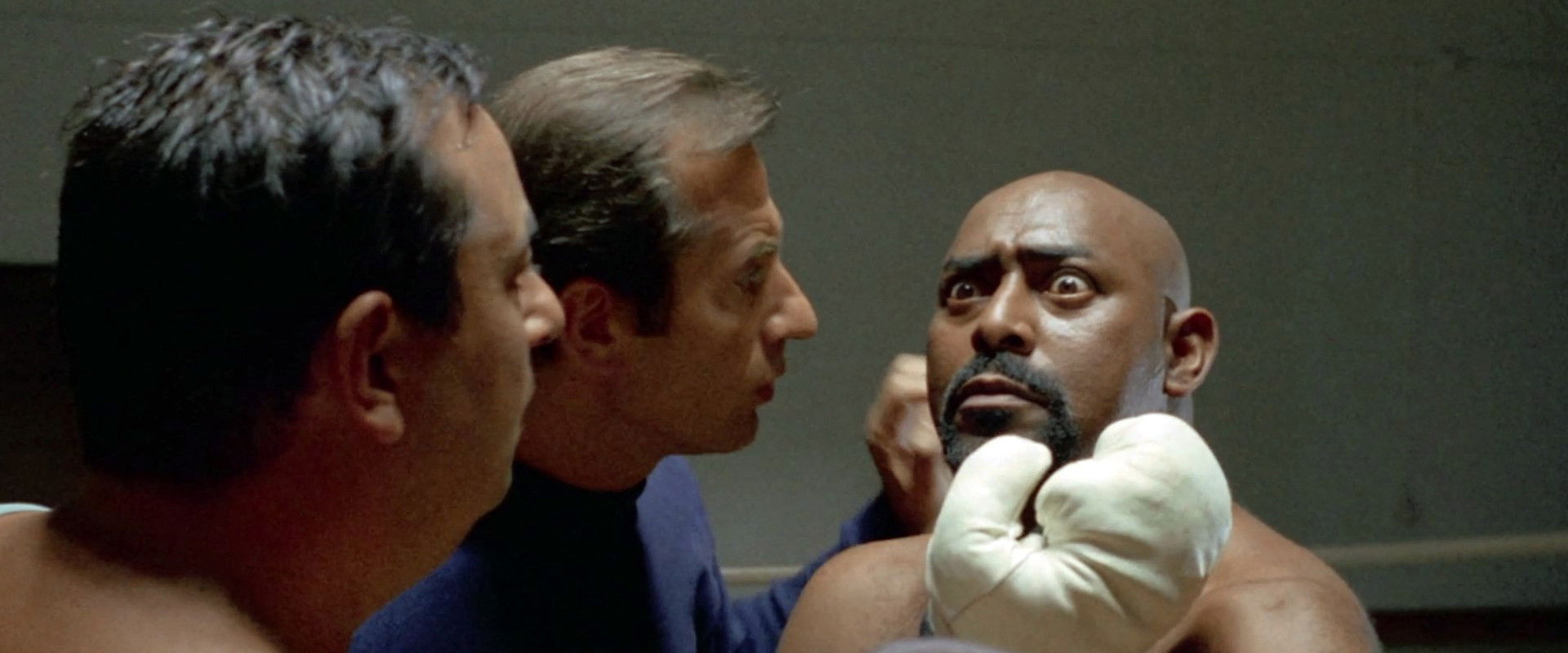 Mano di velluto's banner image