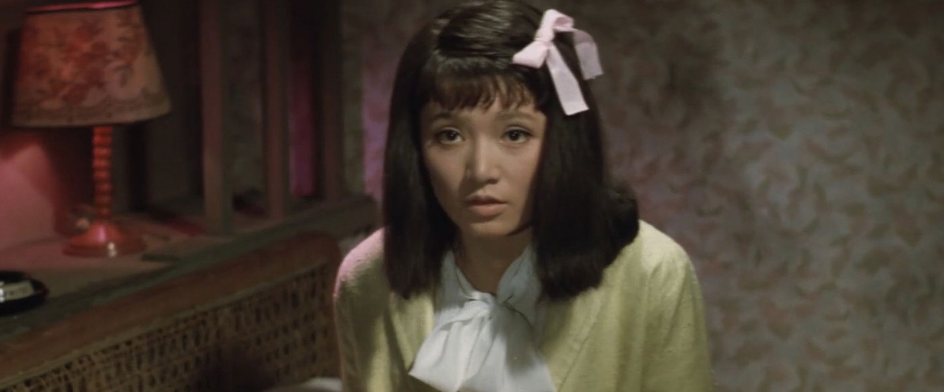 The Shy Deceiver's banner image