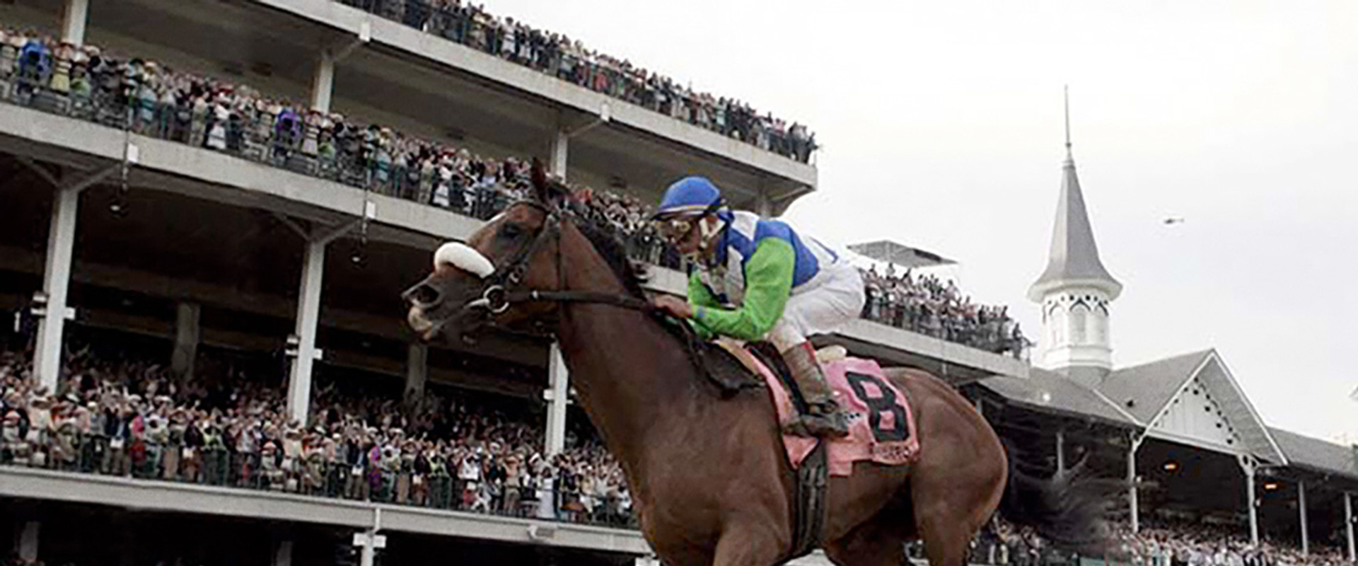 Barbaro's banner image