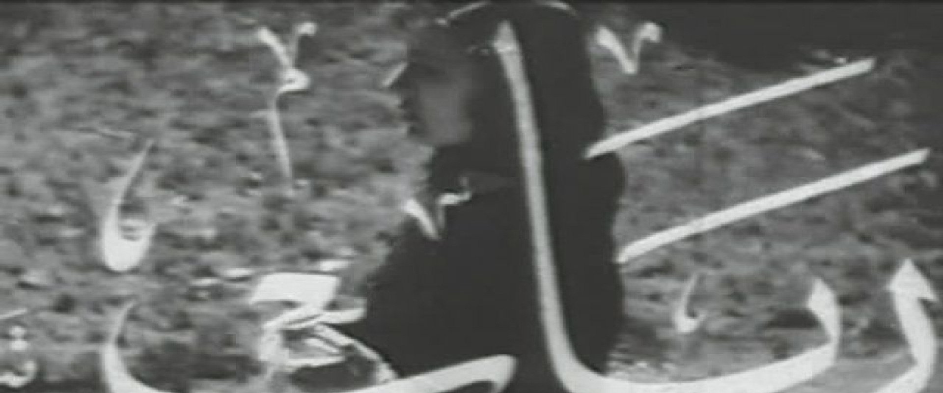 Rabab's banner image