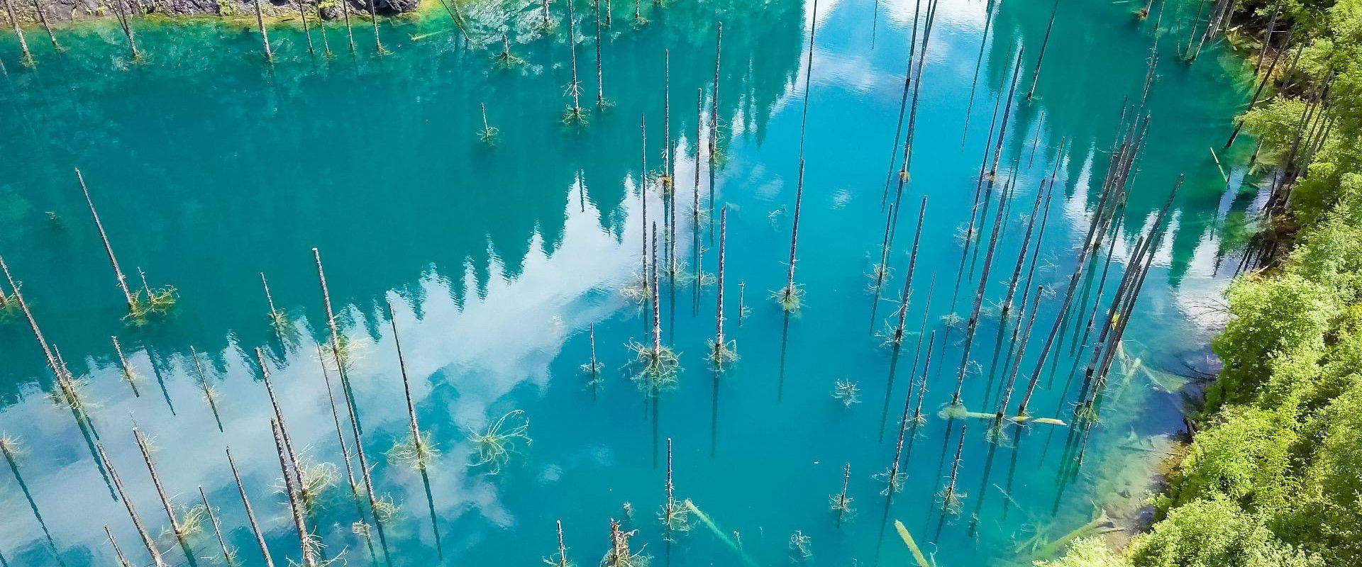 Merveilles de la nature