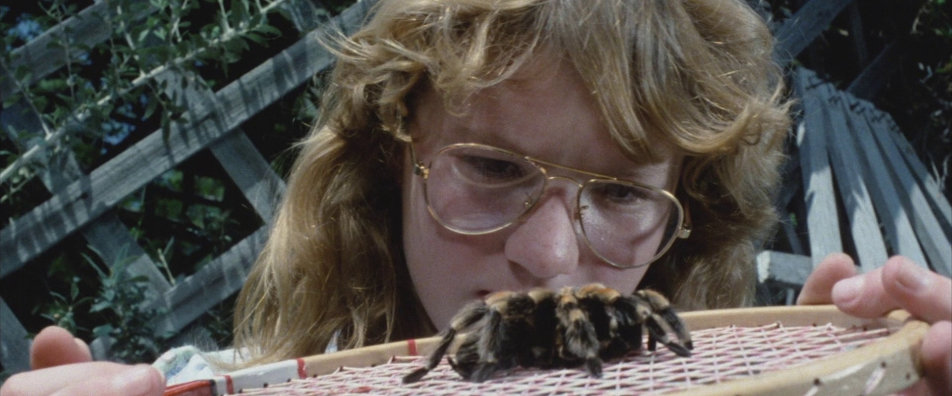 Tarantulas: The Deadly Cargo