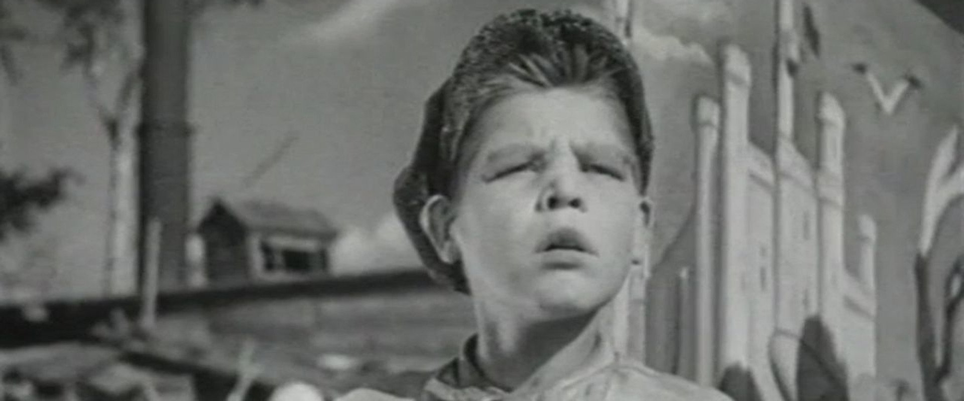 Sinegoriya's banner image