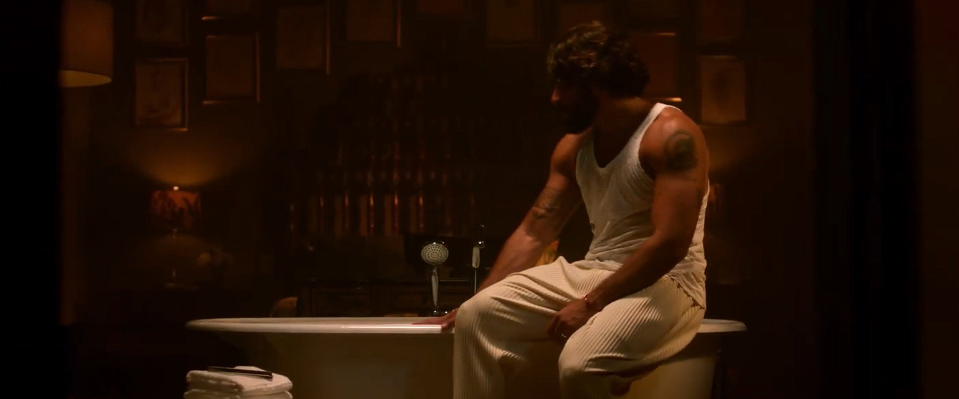 Animals's banner image