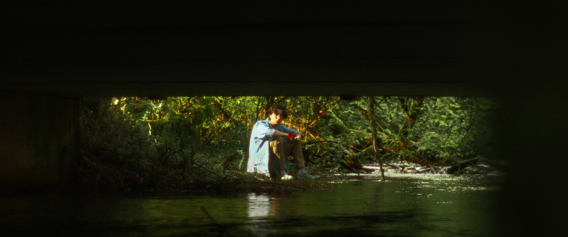 ...post's banner image