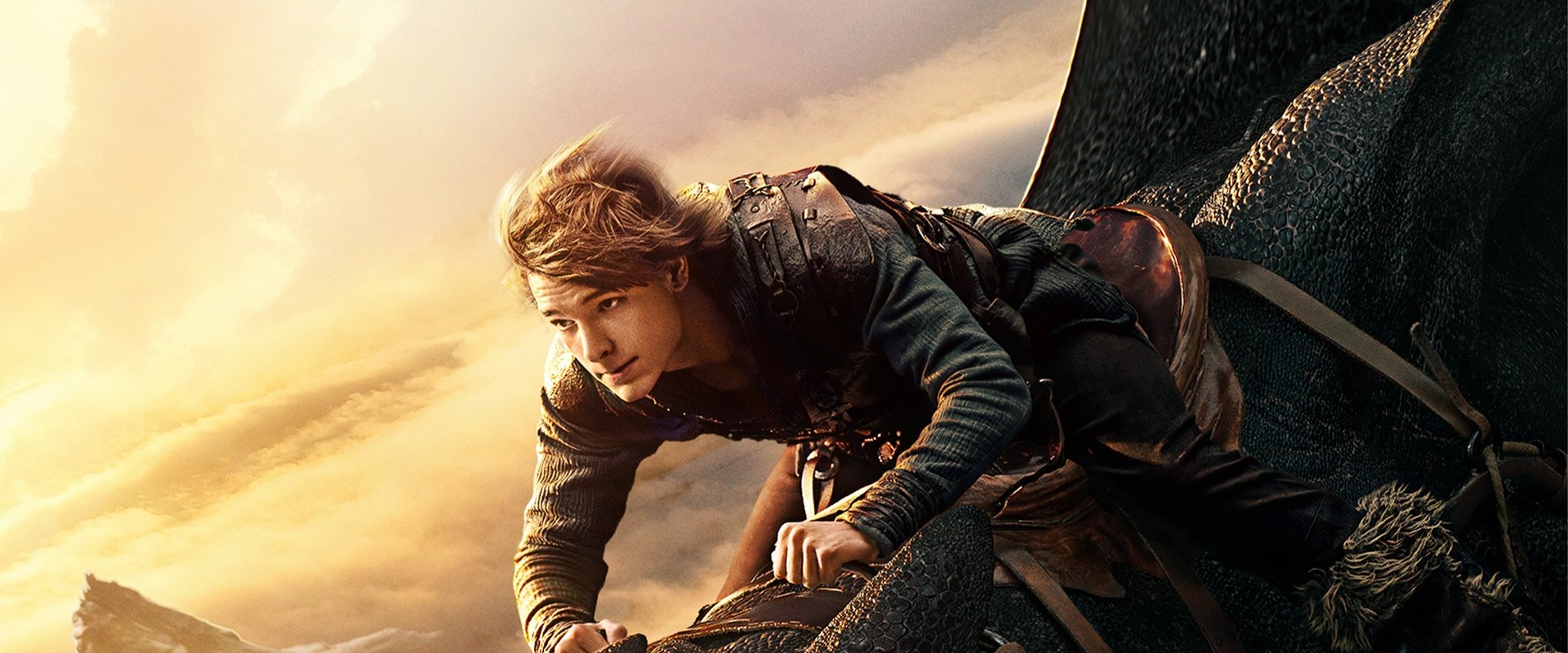 How to Train Your Dragon