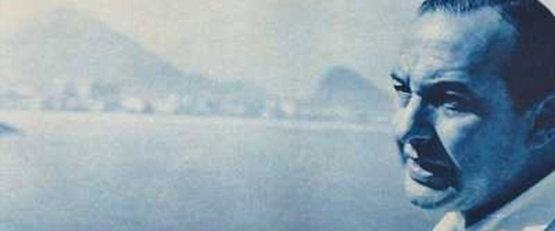 Bernardes's banner image