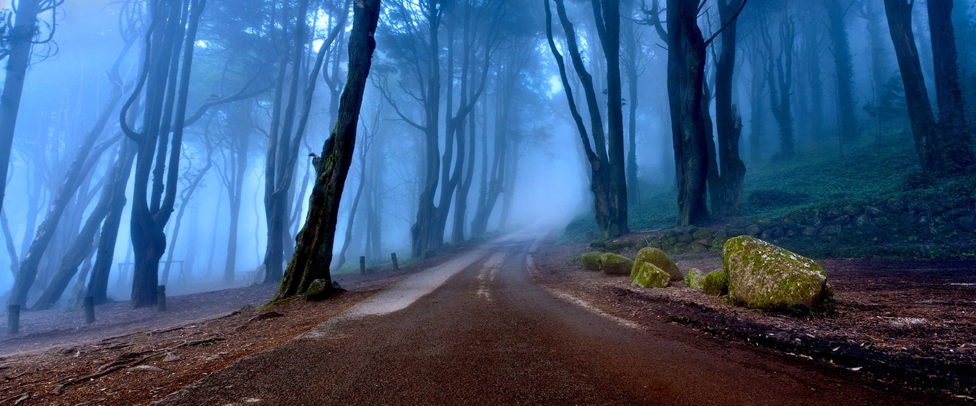 These Woods Are Haunted