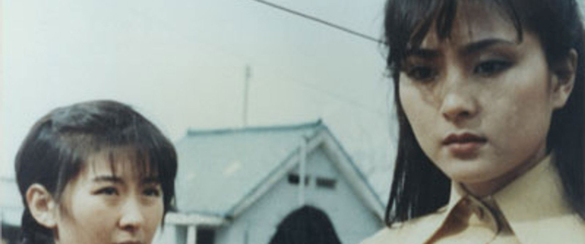 Warm It Was That Winter's banner image