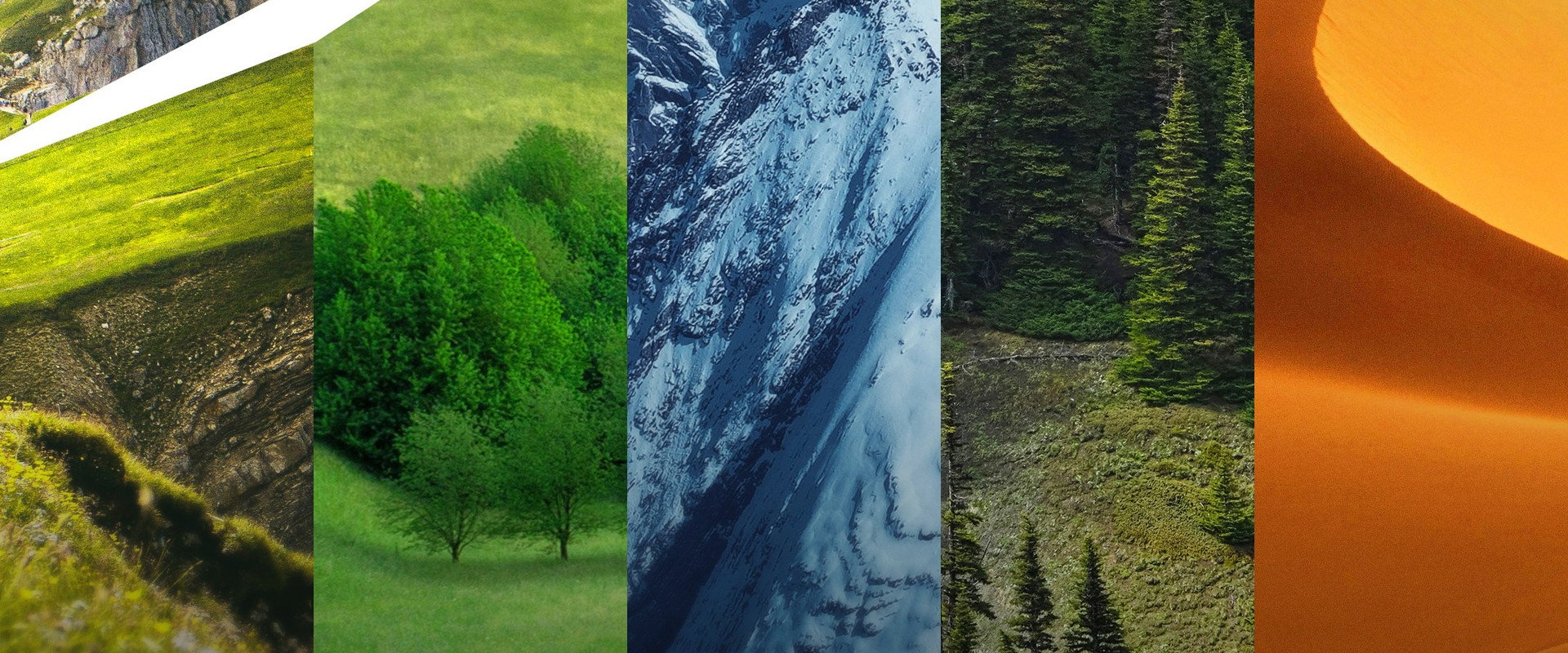Wilderness Planet's banner image