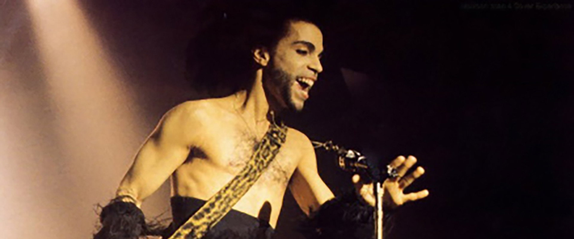 Prince in Tokyo '90 Nude Tour's banner image