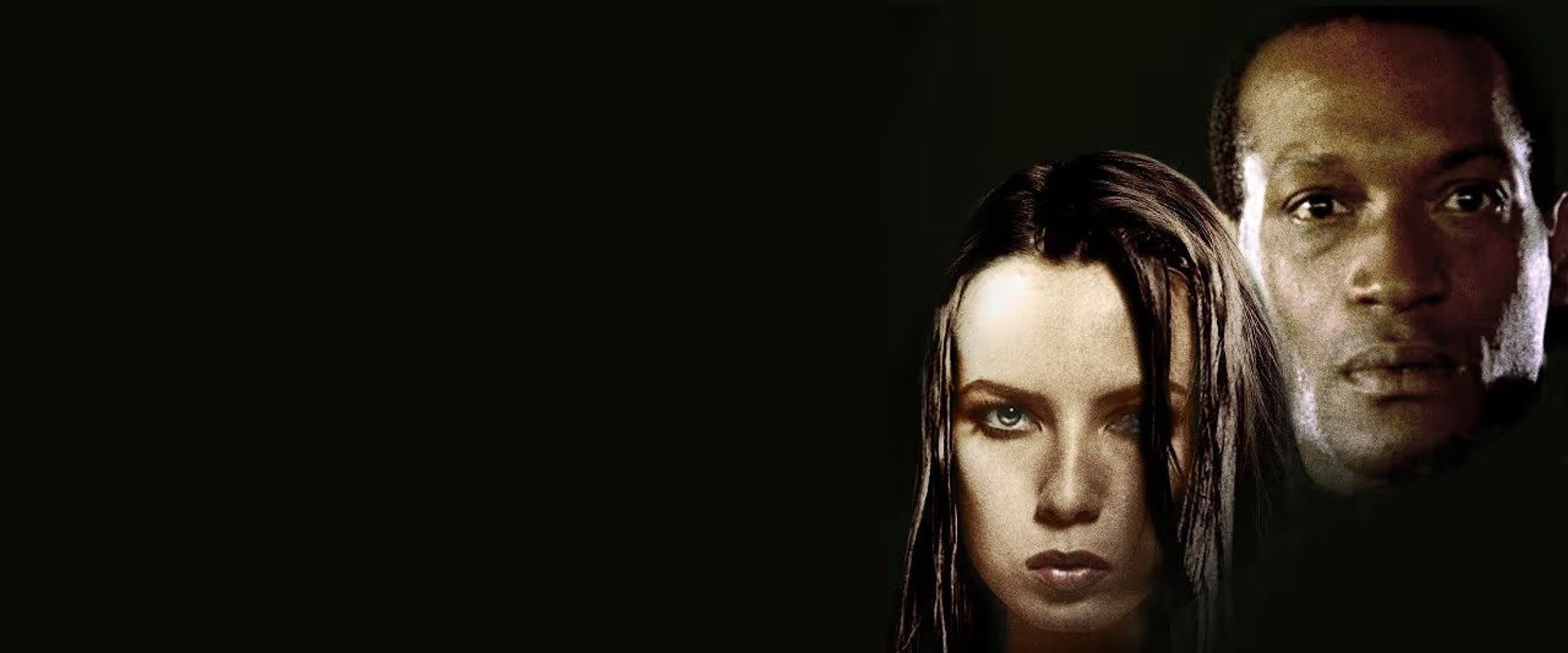 Stir's banner image