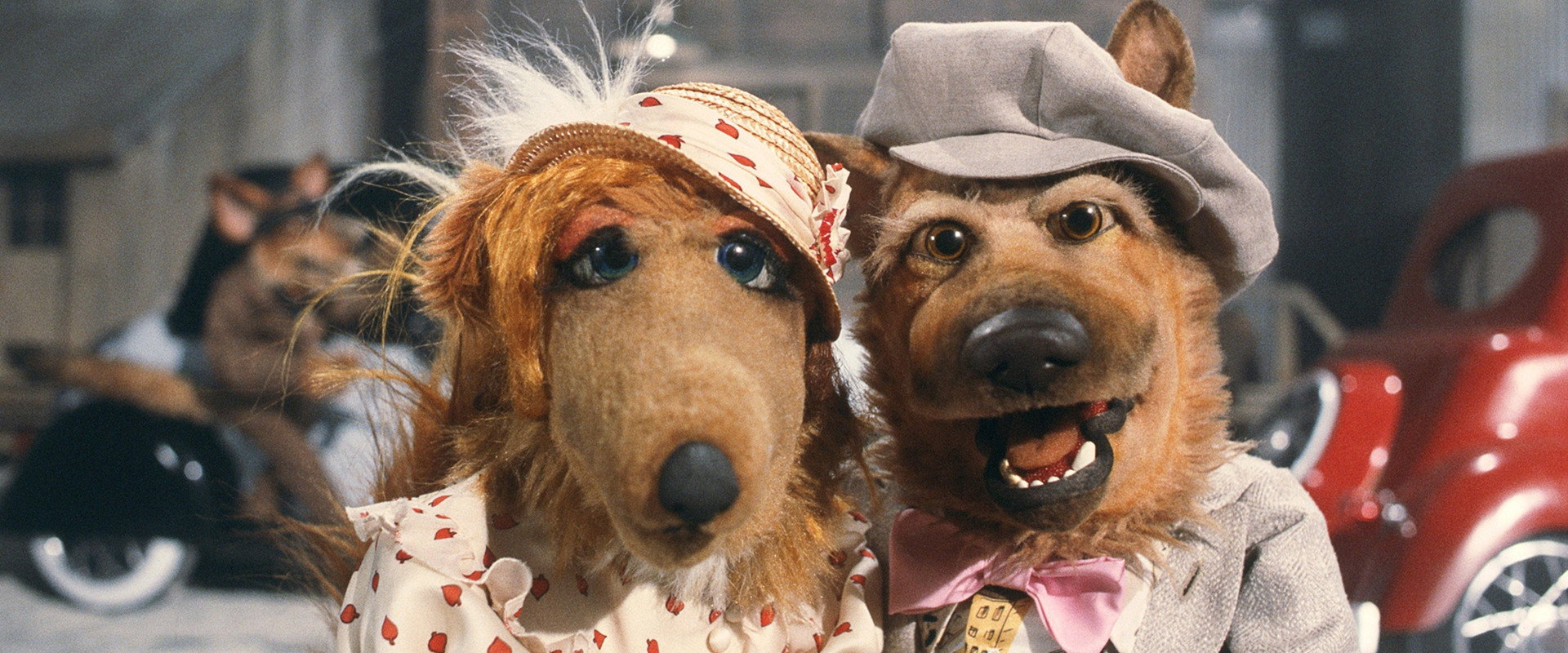 Dog City's banner image