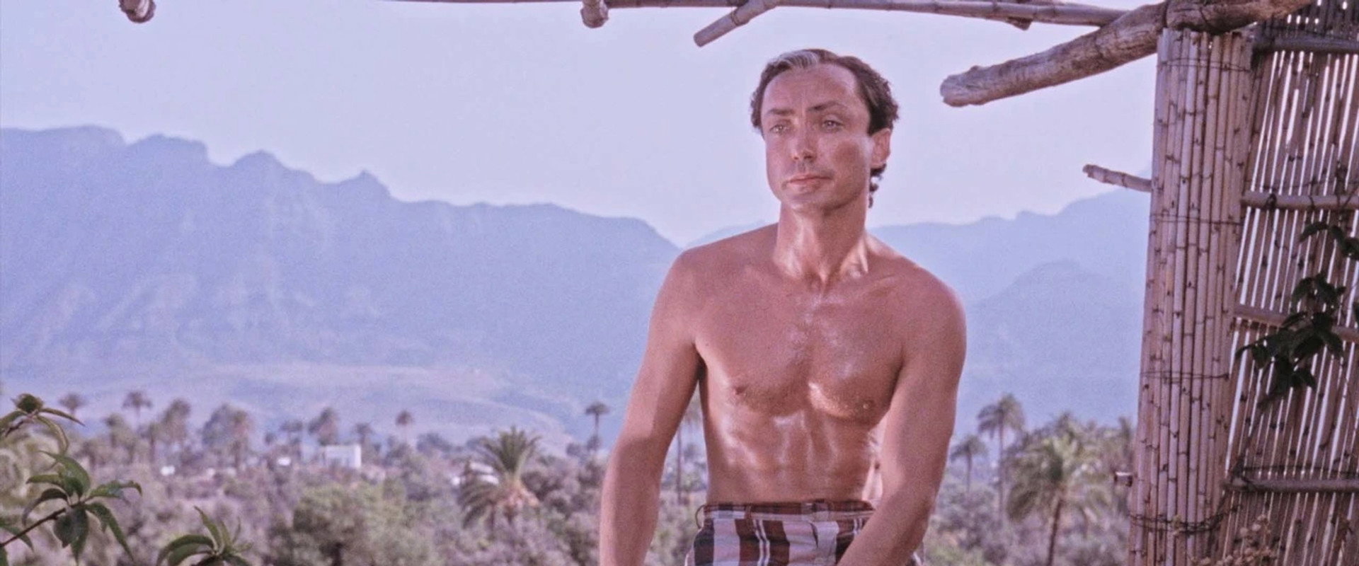 Pankow ’95's banner image