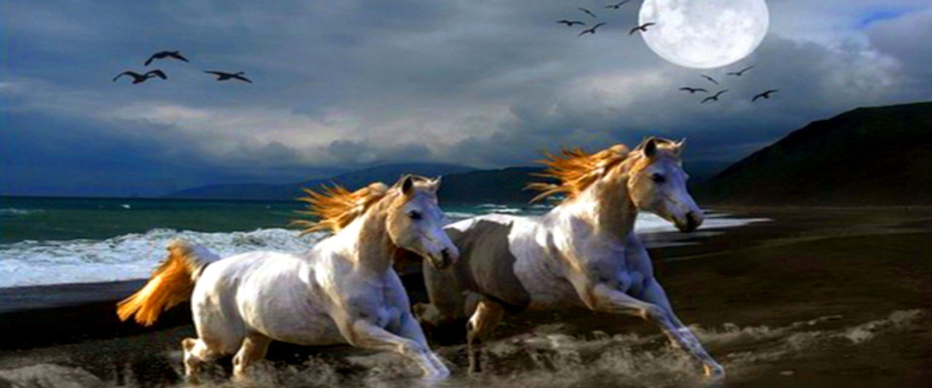 Нощем с белите коне