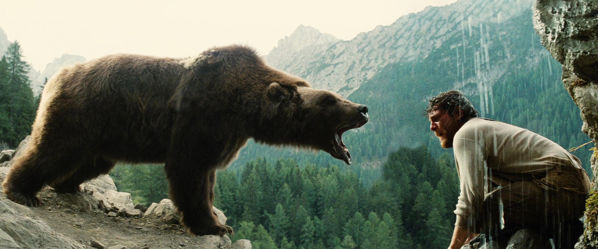 The Bear's banner image