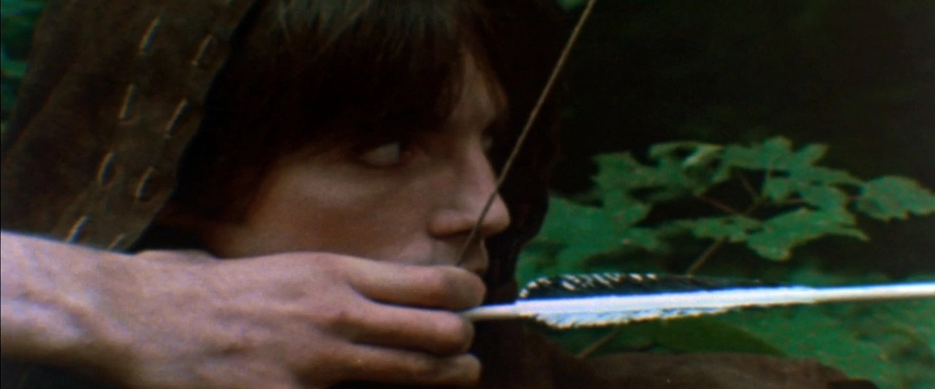Robin of Sherwood
