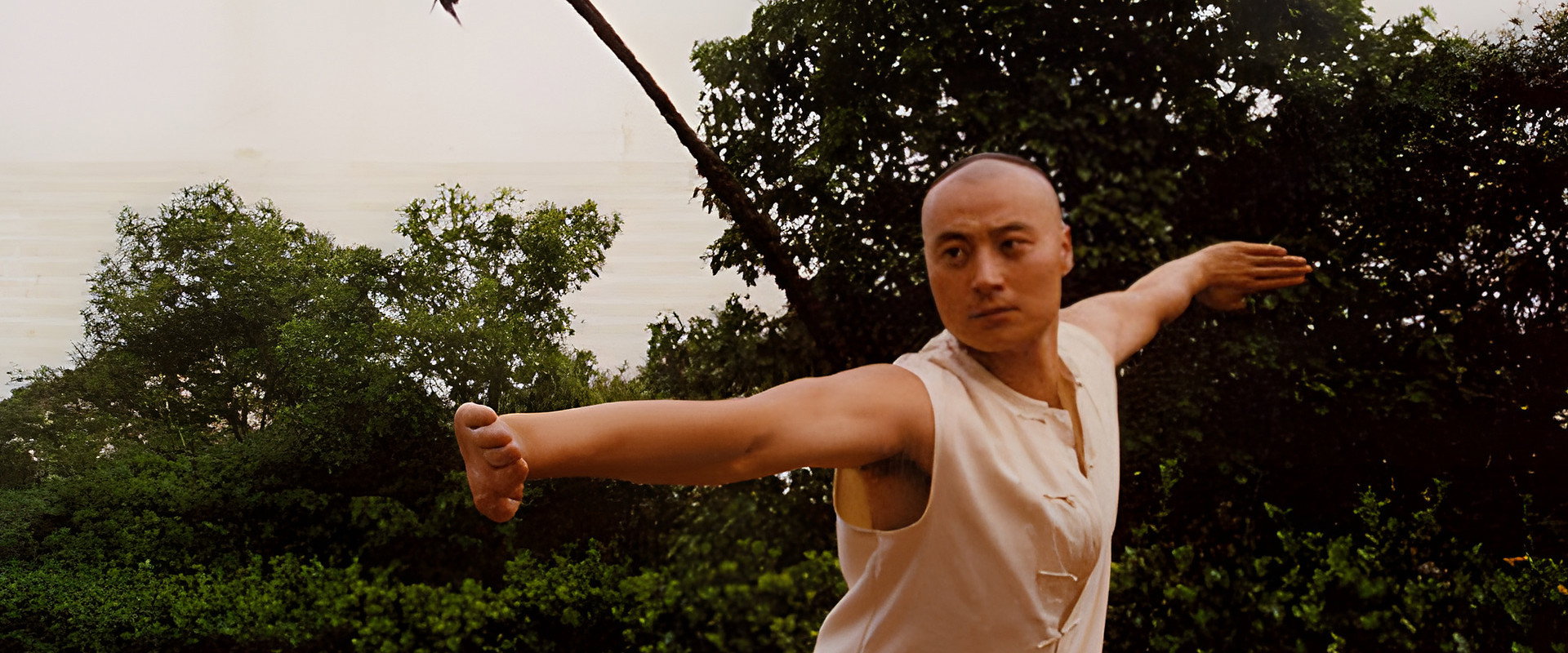 神鞭's banner image