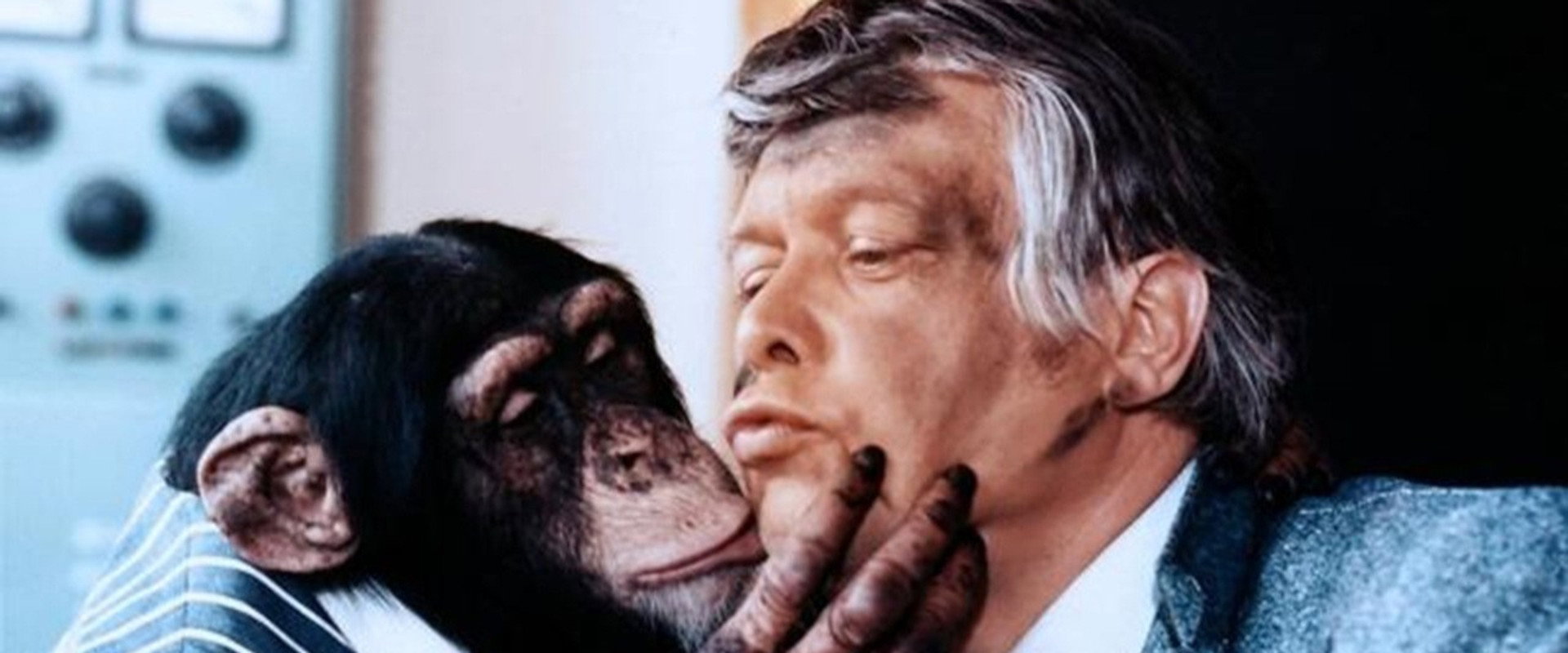 Meine Tochter - Deine Tochter's banner image