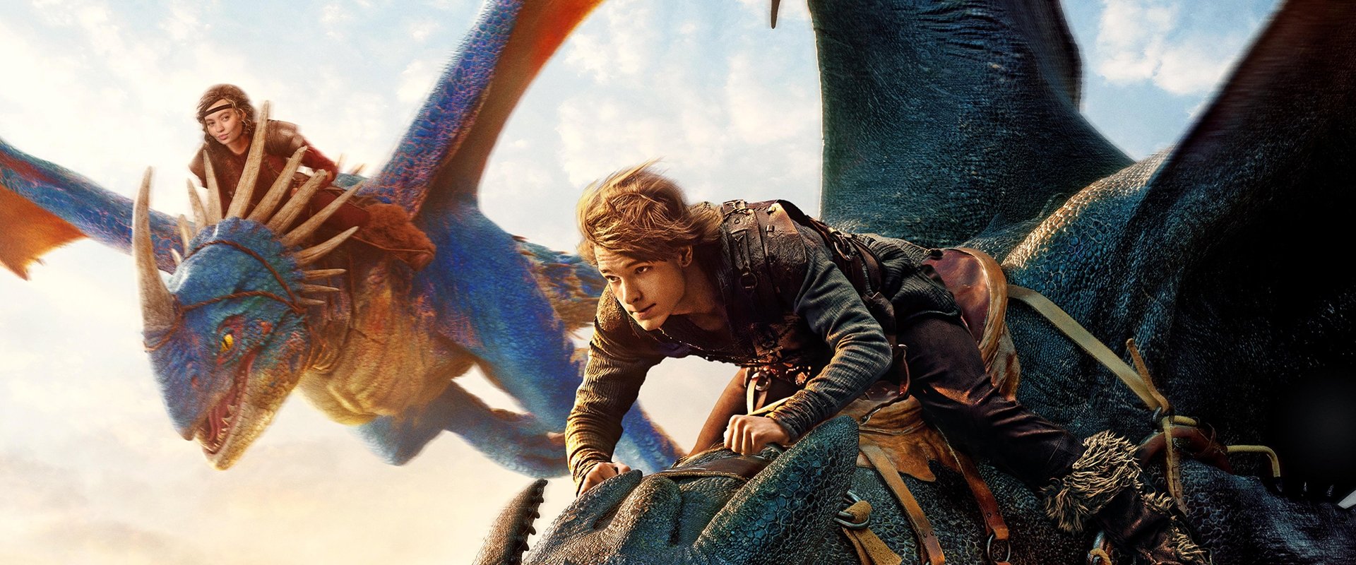How to Train Your Dragon